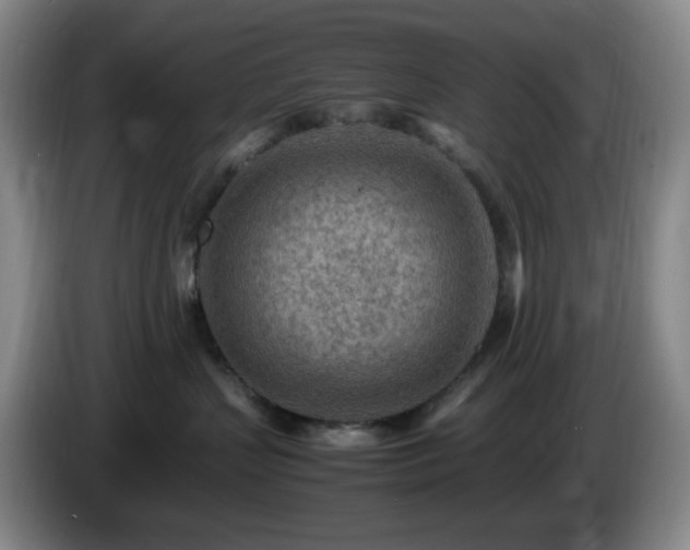 X0000085010383200703121527