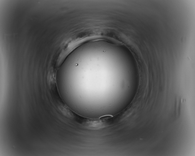 X0000085010384200703121527