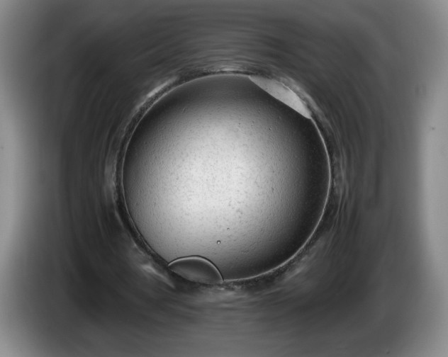 X0000085010386200703121526