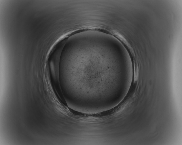 X0000085010387200703121526