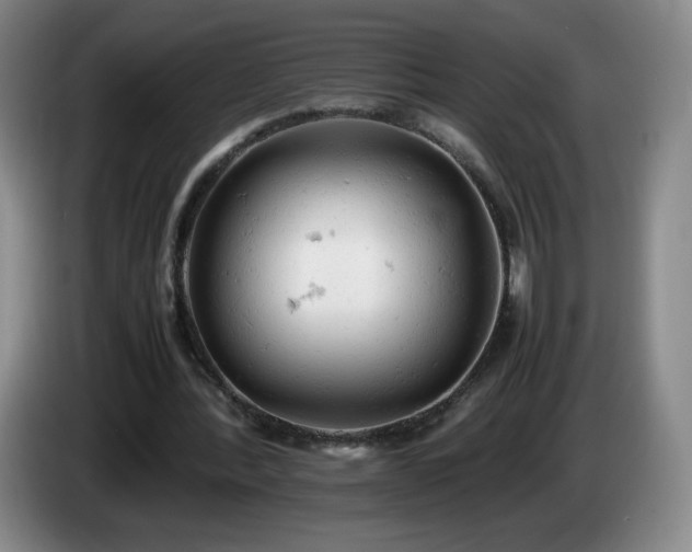 X0000085010388200703121526