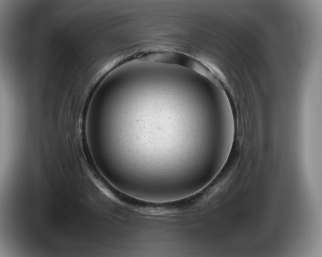 X0000085010389200703121526
