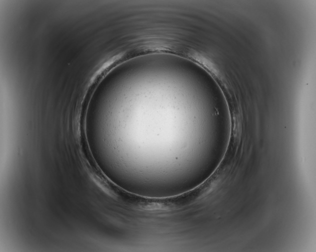 X0000085010390200703121526