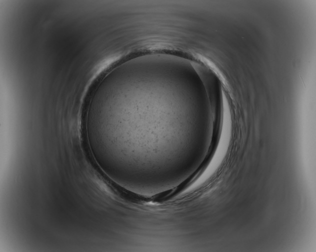 X0000085010391200703121526