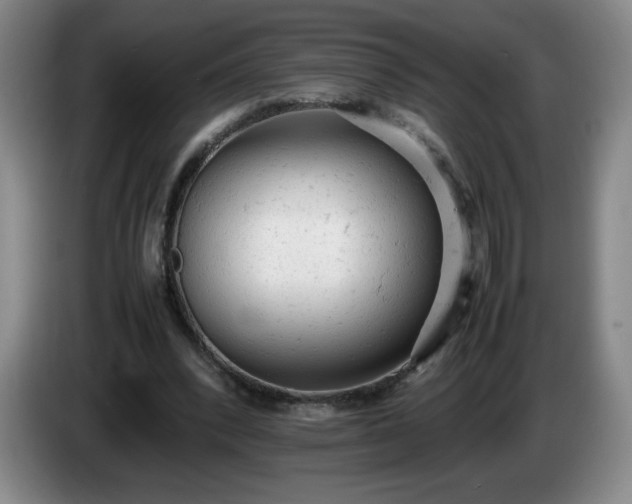 X0000085010392200703121526