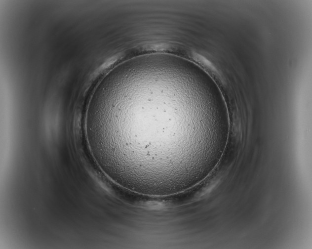 X0000085010394200703121526