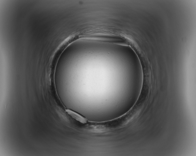 X0000085010395200703121526