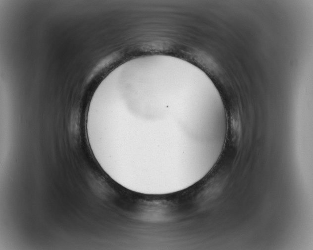 X0000085010396200703121526
