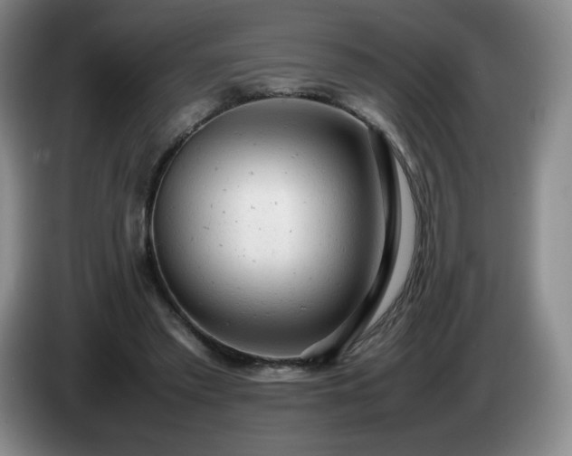 X0000085010397200703121526
