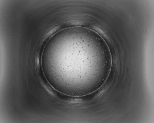 X0000085010398200703121526