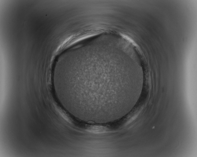 X0000085010399200703121526