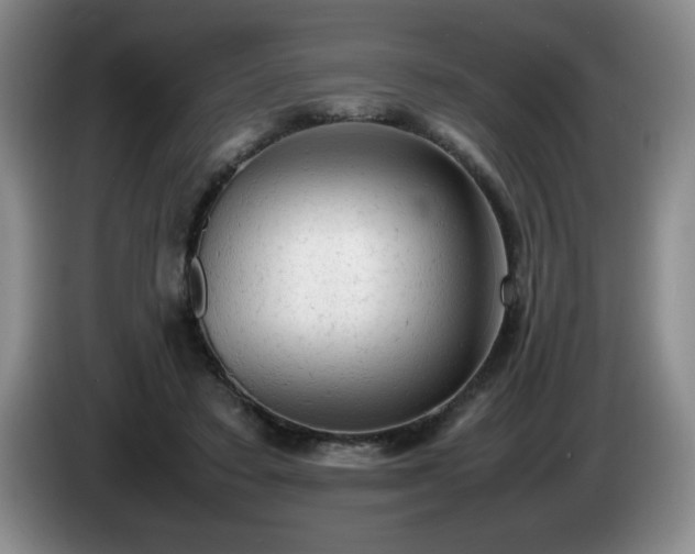 X0000085010403200703121526