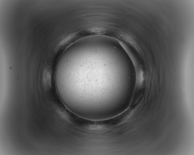 X0000085010404200703121526