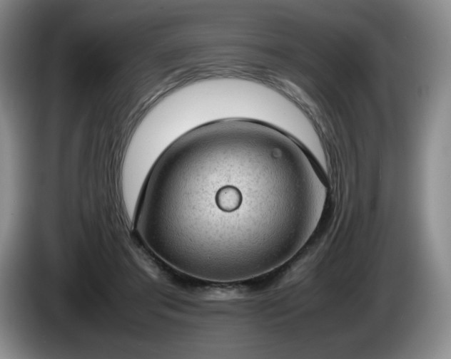 X0000085010405200703121526