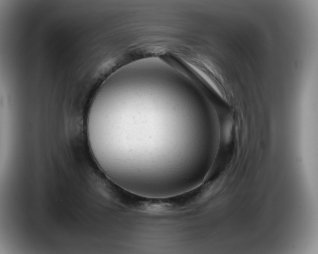 X0000085010407200703121526