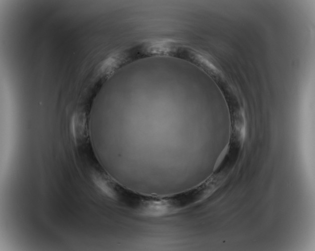 X0000085010411200703121526