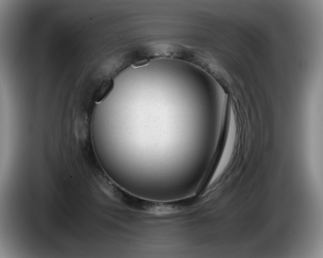 X0000085010413200703121526