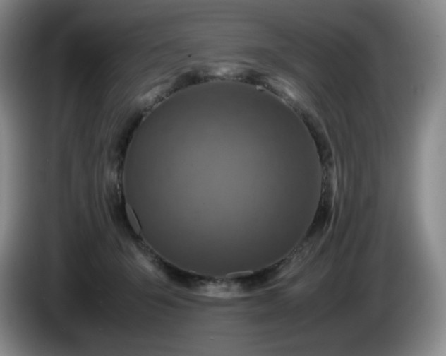 X0000085010415200703121526
