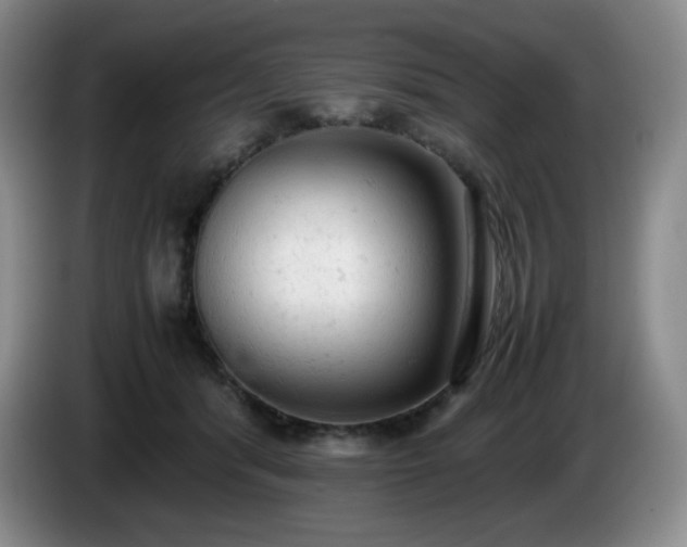X0000085010416200703121525