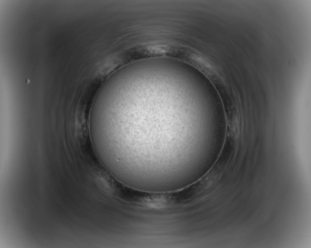 X0000085010418200703121525