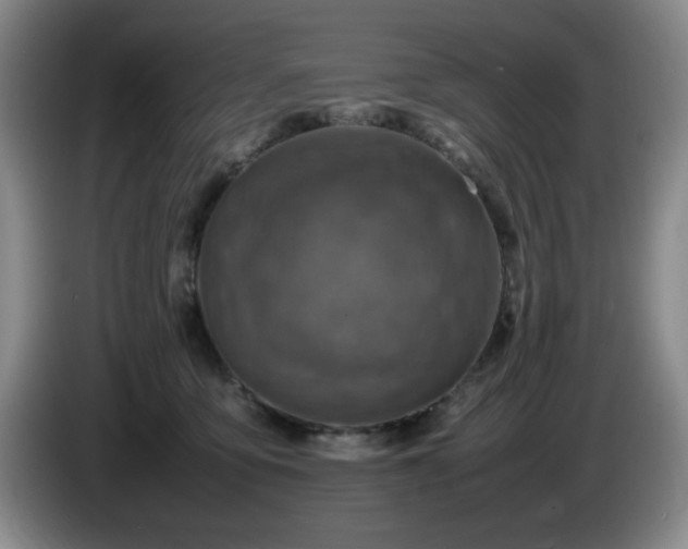 X0000085010419200703121525