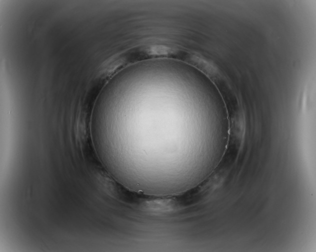 X0000085010422200703121525