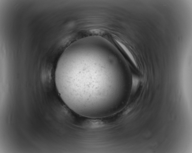 X0000085010424200703121525