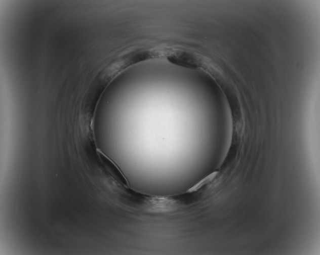 X0000085010429200703121525