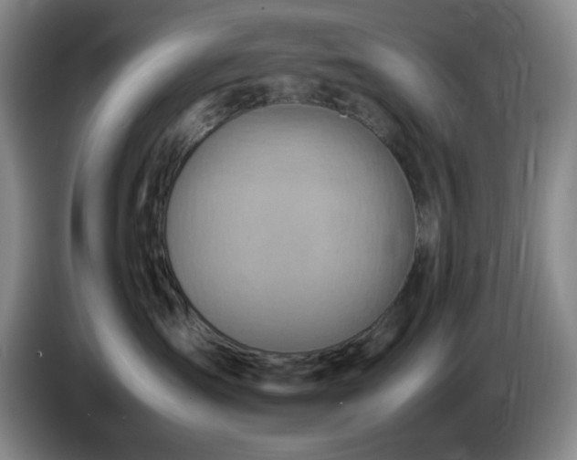X0000085010431200703121525