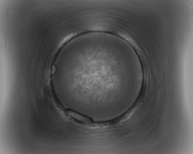 X0000085010434200703121525