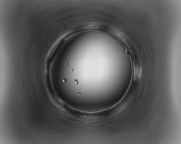 X0000085010435200703121525