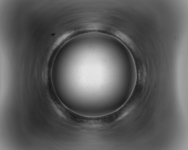 X0000085010436200703121525