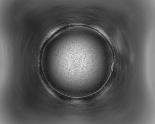 X0000085010437200703121525