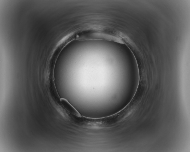 X0000085010440200703121525