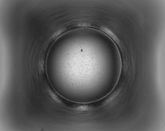 X0000085010441200703121525
