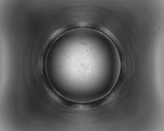X0000085010442200703121525