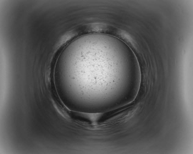 X0000085010443200703121525
