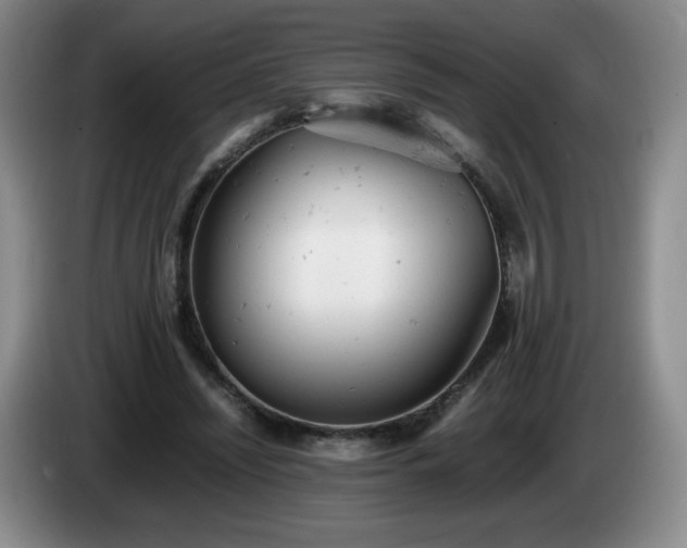 X0000085010444200703121525