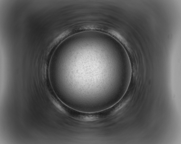 X0000085010445200703121525