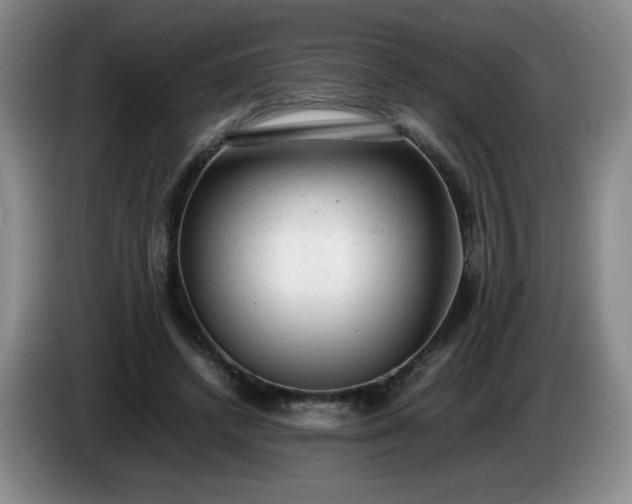 X0000085010448200703121525