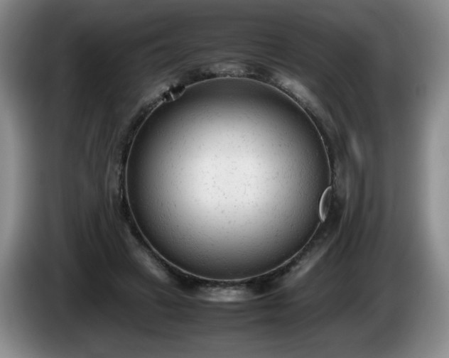 X0000085010449200703121525