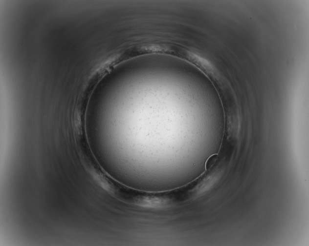 X0000085010453200703121525