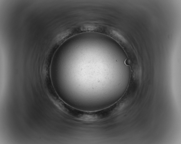 X0000085010455200703121525