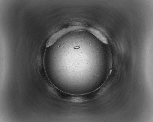 X0000085010457200703121525