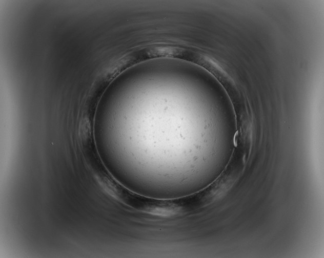 X0000085010459200703121525