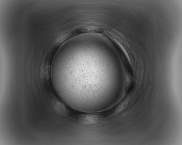 X0000085010462200703121525