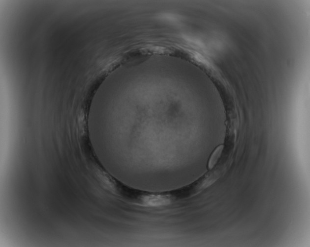 X0000085010465200703121525