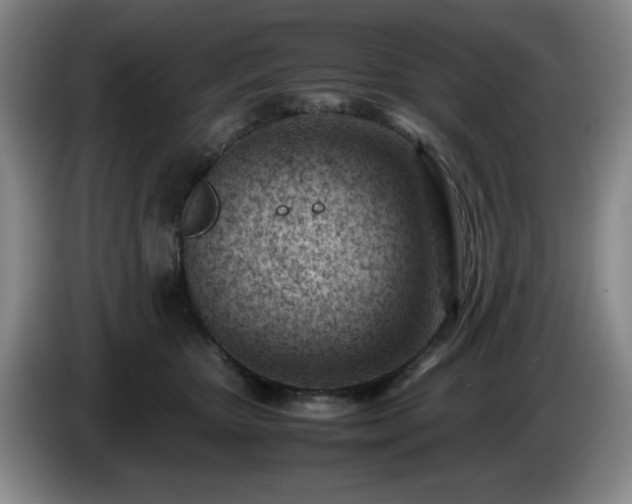 X0000085010467200703121525
