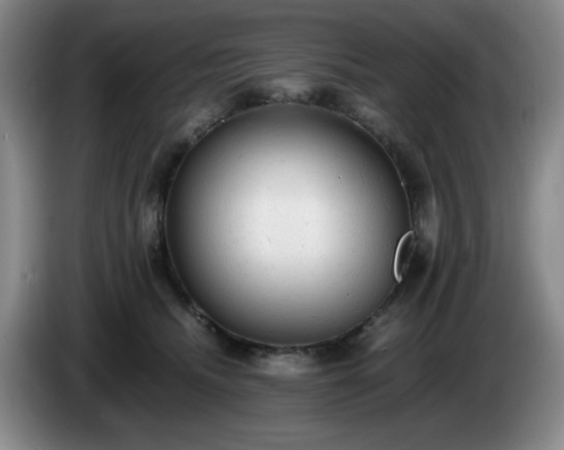 X0000085010468200703121525