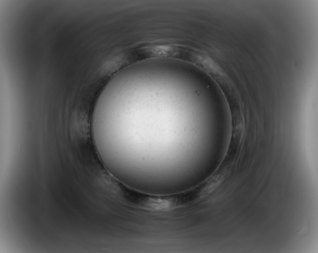 X0000085010469200703121525